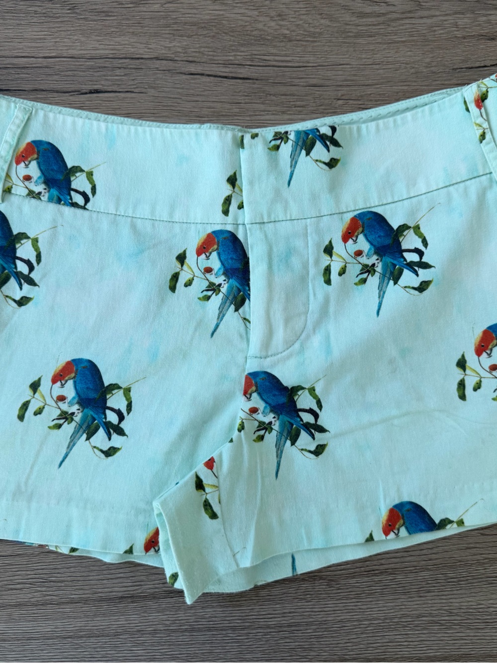 Women’s Aqua Parrot Print Pajama Shorts
